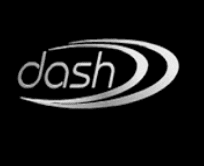 Dash Casino Review