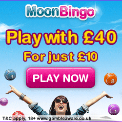 Moon Bingo Review